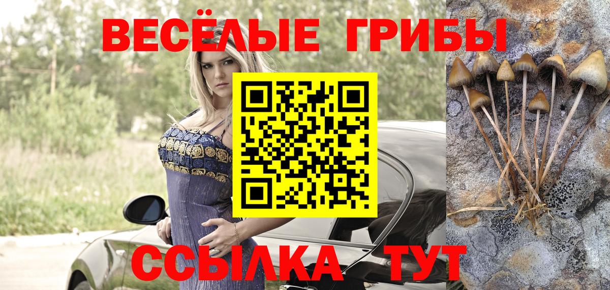 Галлюциногенные грибы мицелий  Вход с VPN  купить   Острогожск  Псилоцибиновые грибы мухоморы 